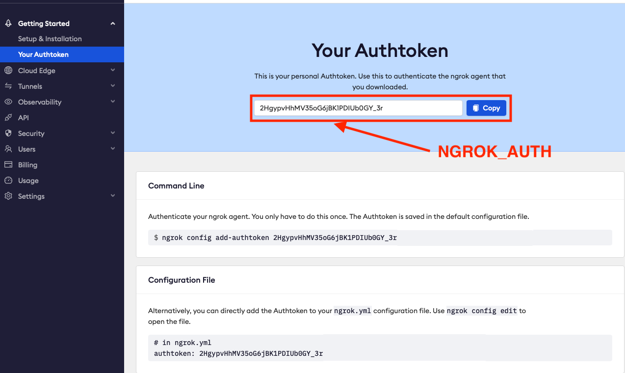 Resolving Ngrok Authentication Error for TradingBoat Docker